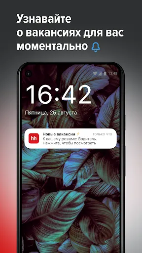 Поиск работы на hh Screenshots