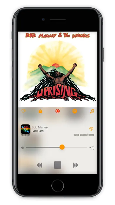vRadio Pro - radio recorder Ekran Görüntüleri