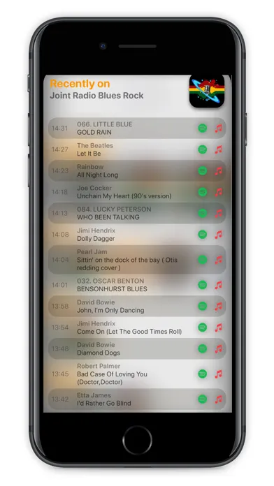 vRadio Pro - radio recorder Ekran Görüntüleri