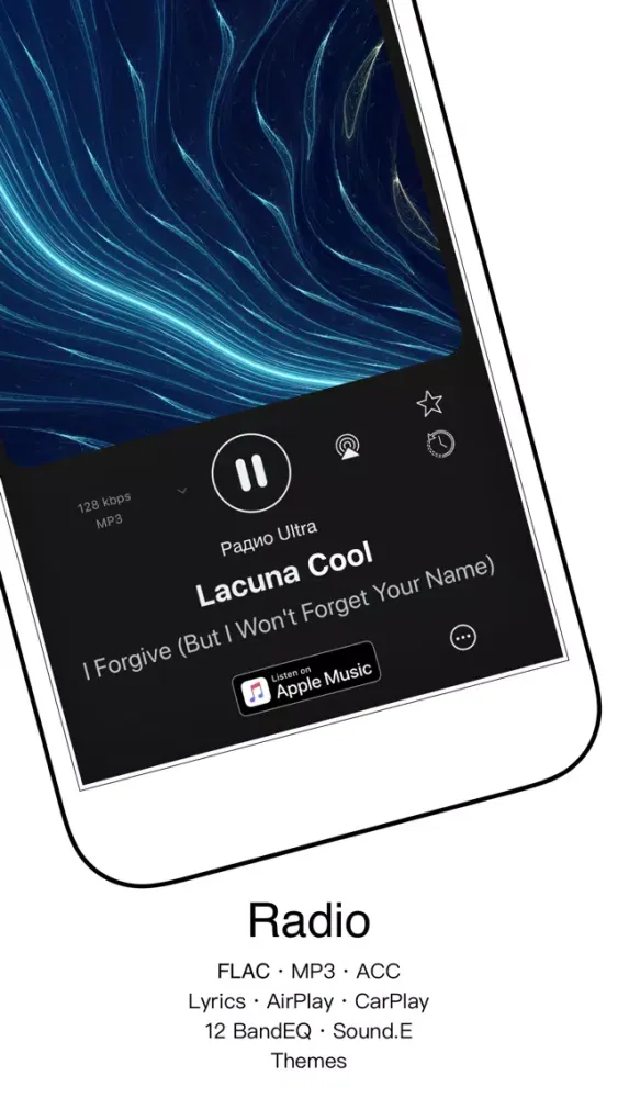 Tangkapan skrin Radio - FM/AM Internet Radio