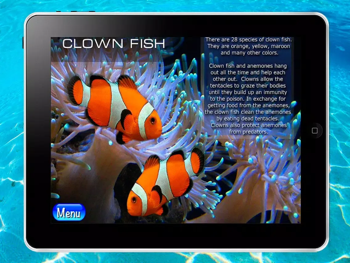 Ocean: encyclopedia of the sea animals iPad  スクリーンショット