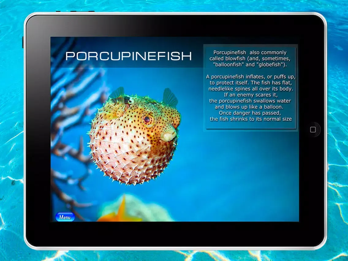 Ocean: encyclopedia of the sea animals iPad  スクリーンショット