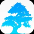 Japancar.ru Japancar.ru