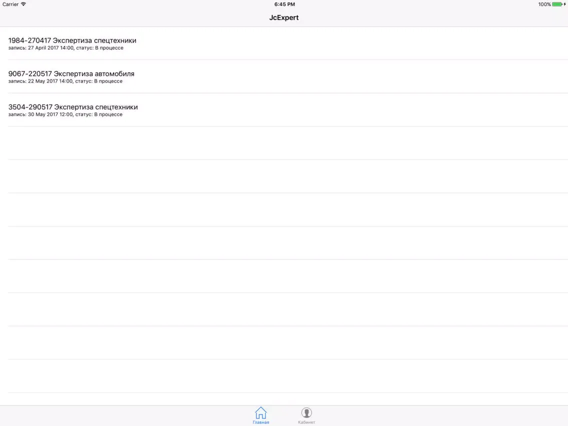 Zrzuty ekranu JcExpert.ru: программа эксперта iPad 