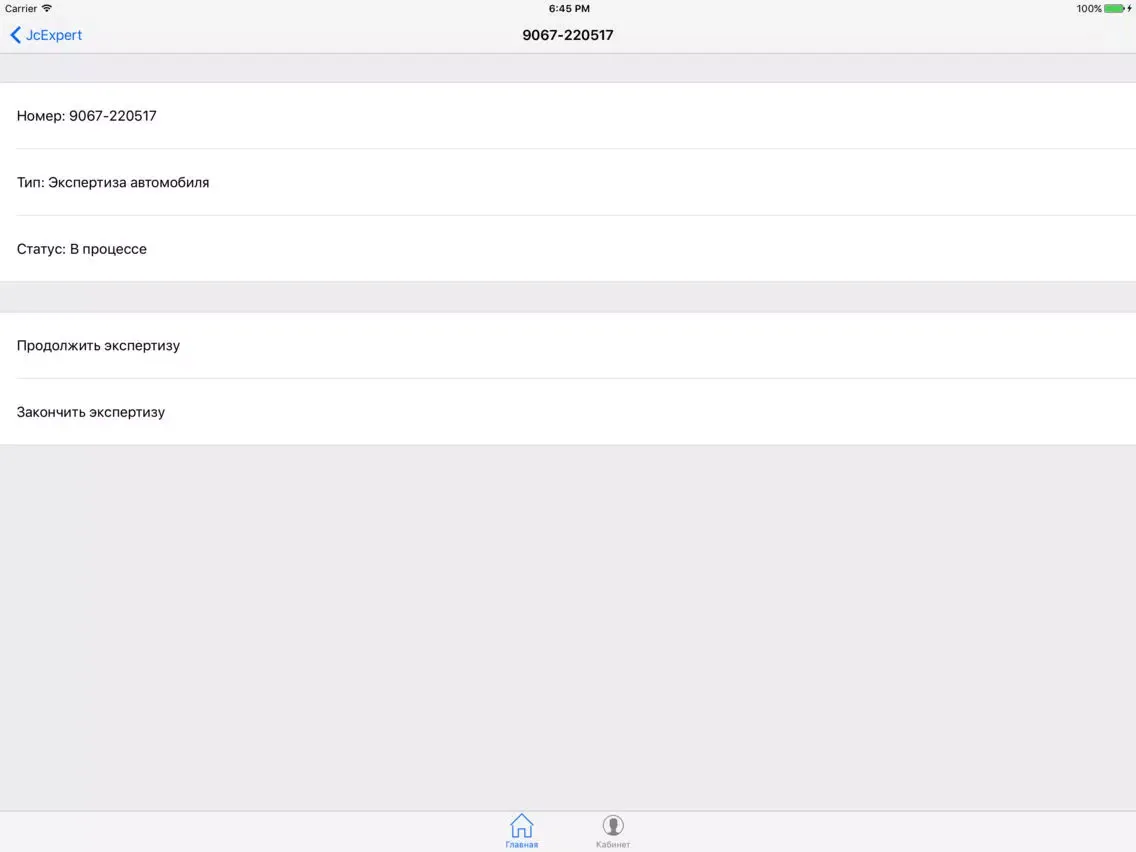 Zrzuty ekranu JcExpert.ru: программа эксперта iPad 