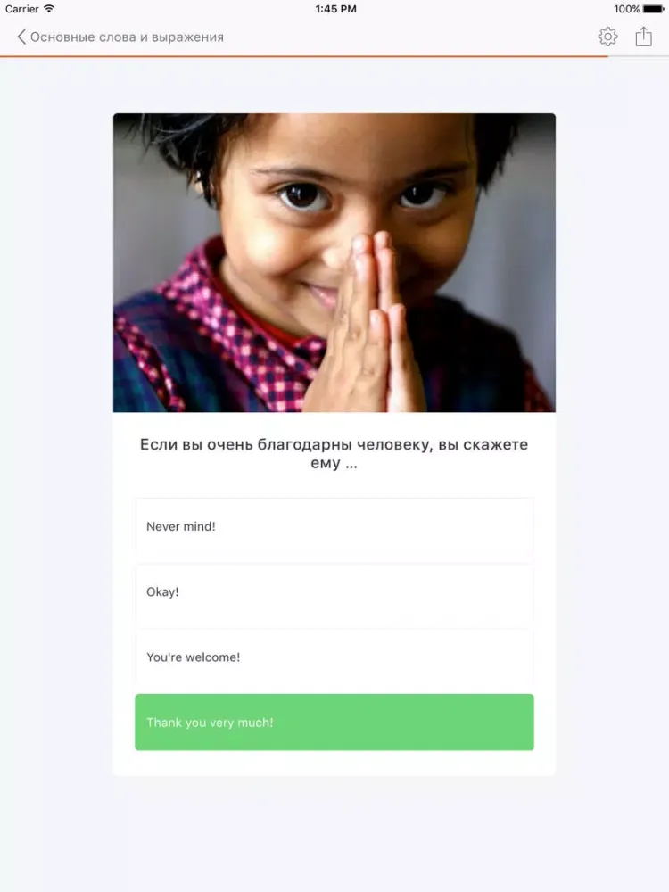 Zrzuty ekranu Английский Язык для Начинающих Аудио Разговорник iPad 