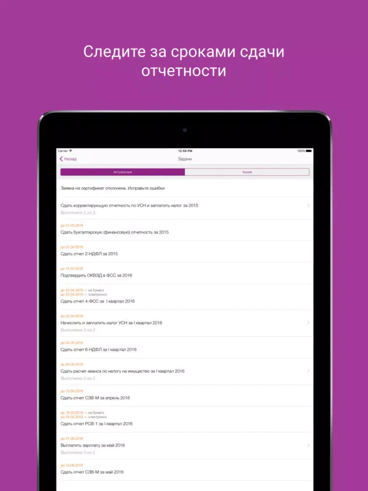 Скриншоты Контур.Бухгалтерия iPad 