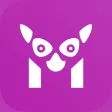 Lemur - pet's assistant