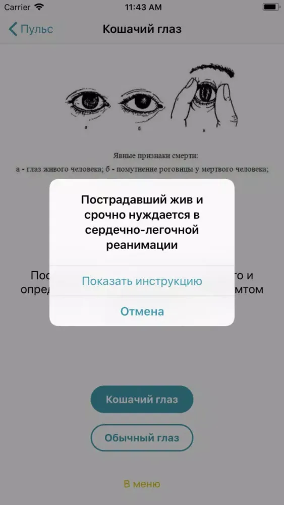 HelpApp - первая помощь سکرین شاٹس