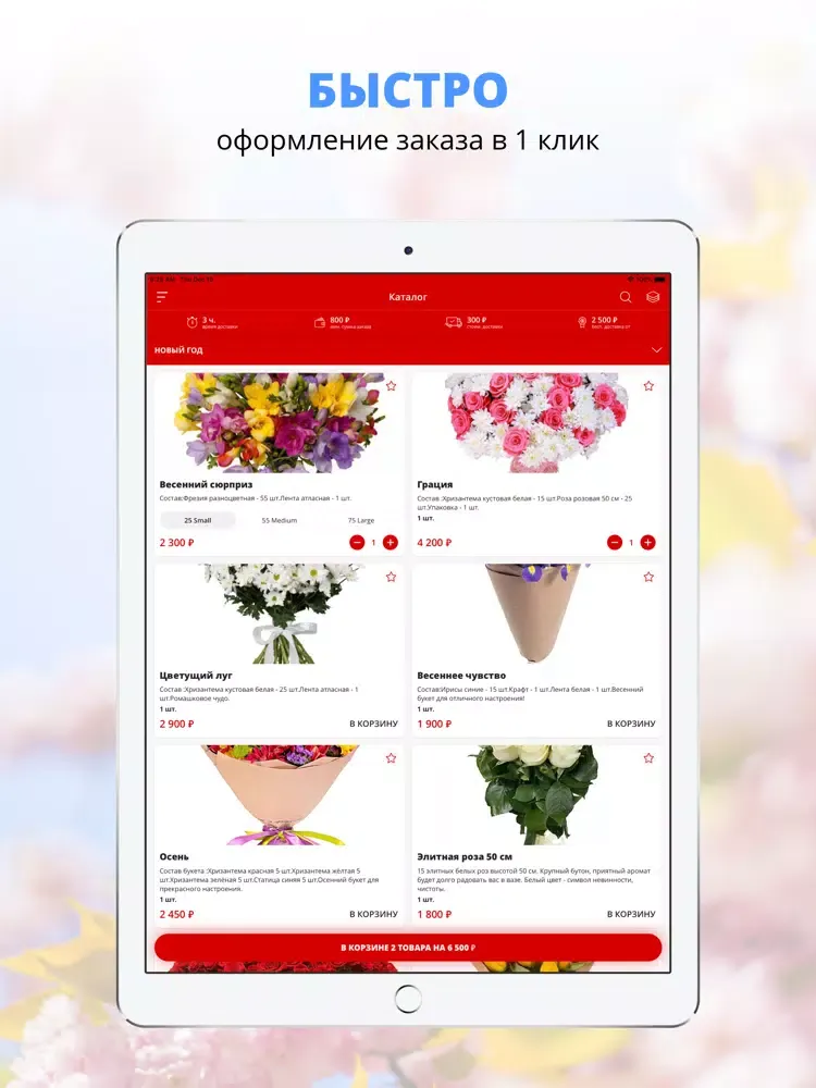 Capturas de pantalla de Misterflower | Russia iPad 