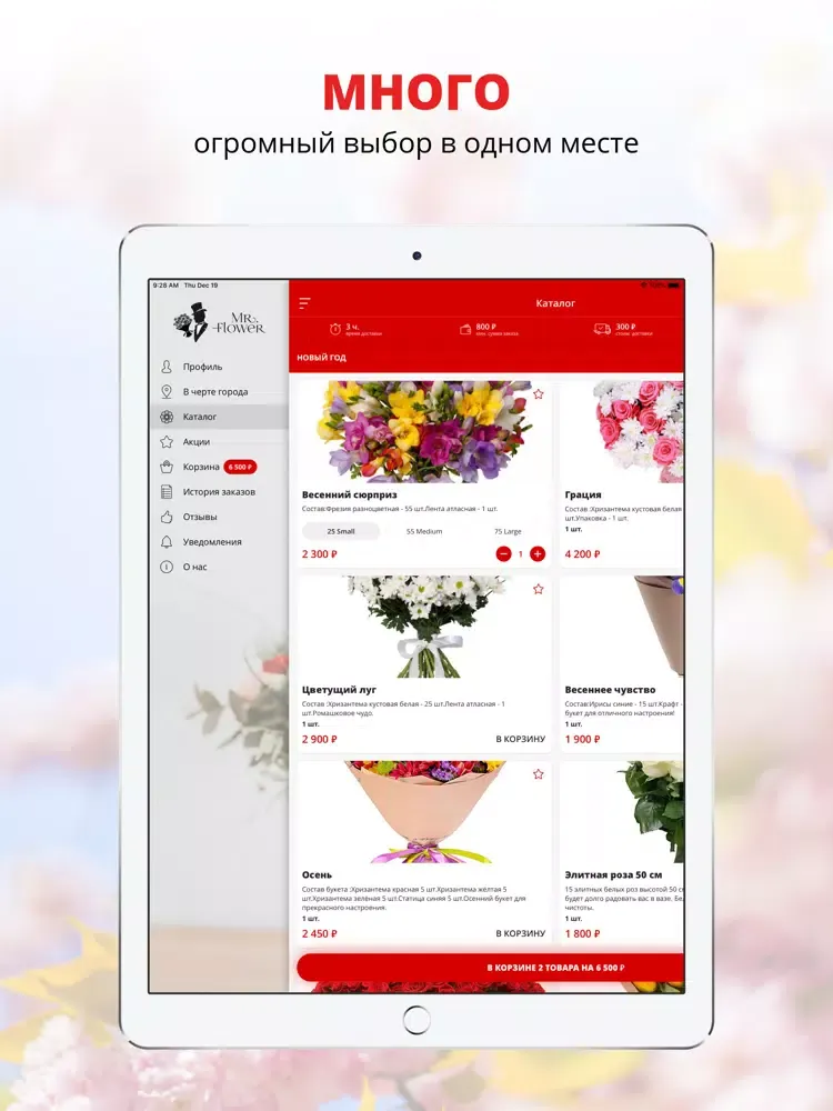 Capturas de pantalla de Misterflower | Russia iPad 