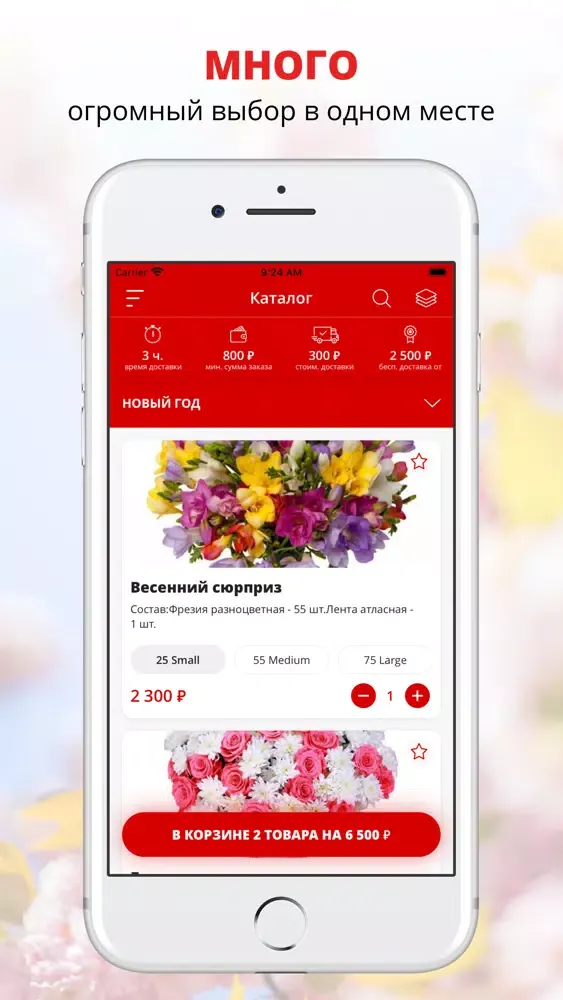Capturas de pantalla de Misterflower | Russia