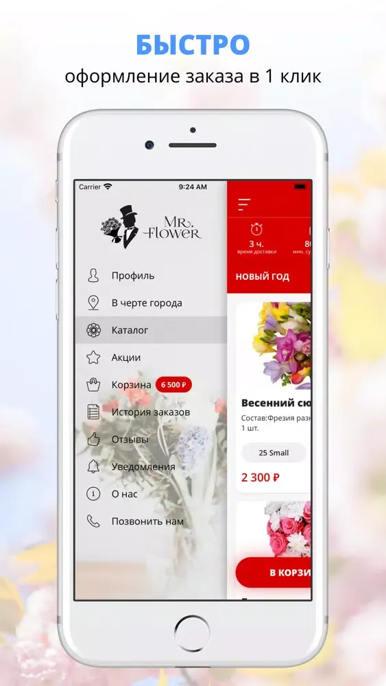 Capturas de pantalla de Misterflower | Russia
