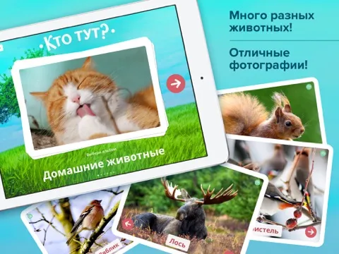 Кто тут? Учим животных вместе с детьми + развивающие карточки + звуки зверей детям бесплатно iPad  स्क्रीनशॉट