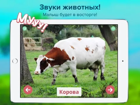 Кто тут? Учим животных вместе с детьми + развивающие карточки + звуки зверей детям бесплатно iPad  स्क्रीनशॉट