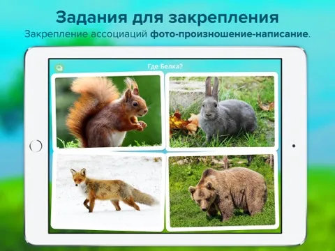 Кто тут? Учим животных вместе с детьми + развивающие карточки + звуки зверей детям бесплатно iPad  स्क्रीनशॉट