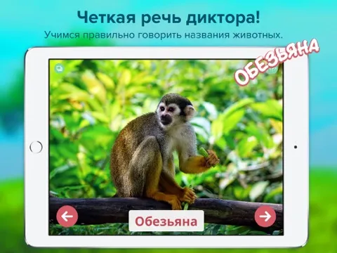 Кто тут? Учим животных вместе с детьми + развивающие карточки + звуки зверей детям бесплатно iPad  स्क्रीनशॉट