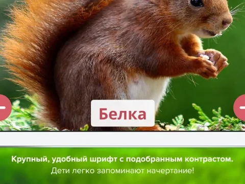 Кто тут? Учим животных вместе с детьми + развивающие карточки + звуки зверей детям бесплатно iPad  स्क्रीनशॉट