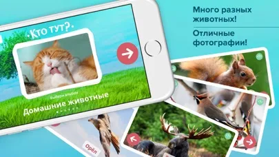 Кто тут? Учим животных вместе с детьми + развивающие карточки + звуки зверей детям бесплатно स्क्रीनशॉट