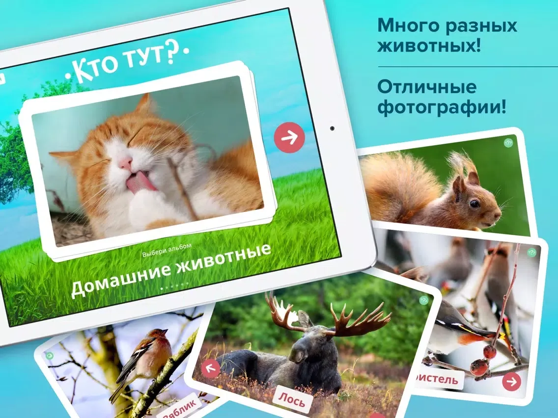 Capturas de pantalla de Кто тут? Мир животных для малышей, развивающие карточки + звуки зверей детям iPad 