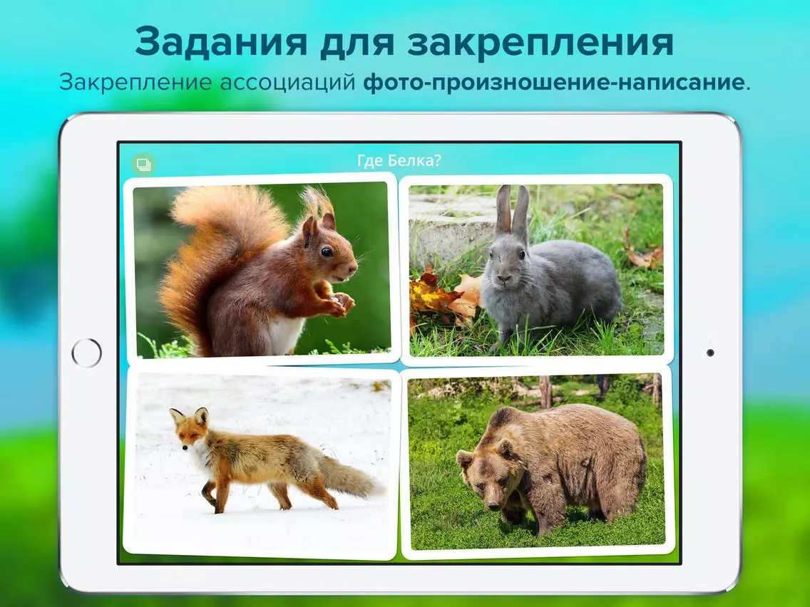 Capturas de pantalla de Кто тут? Мир животных для малышей, развивающие карточки + звуки зверей детям iPad 