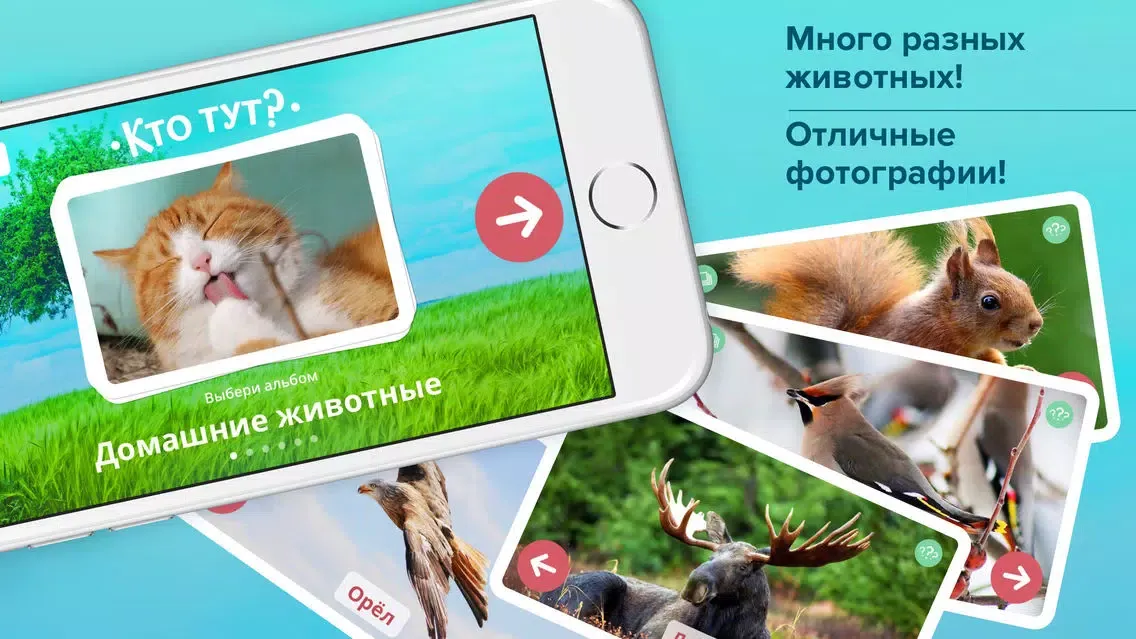 Capturas de pantalla de Кто тут? Мир животных для малышей, развивающие карточки + звуки зверей детям