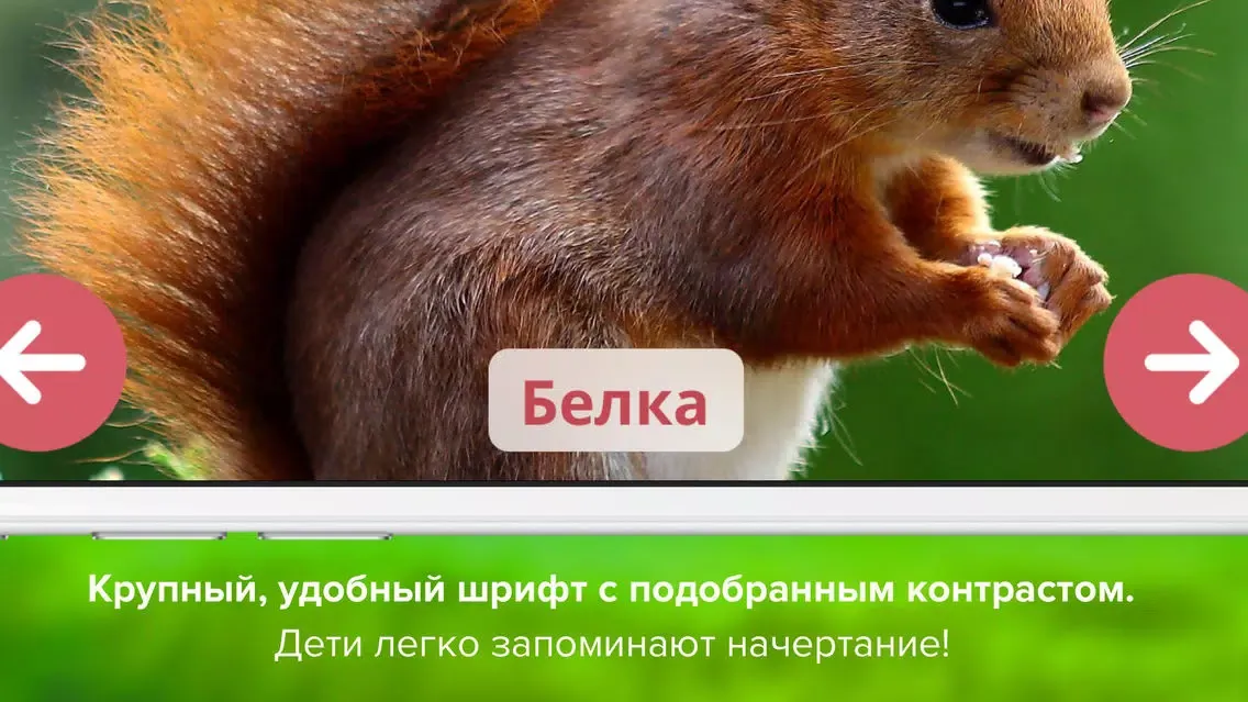 Capturas de pantalla de Кто тут? Мир животных для малышей, развивающие карточки + звуки зверей детям