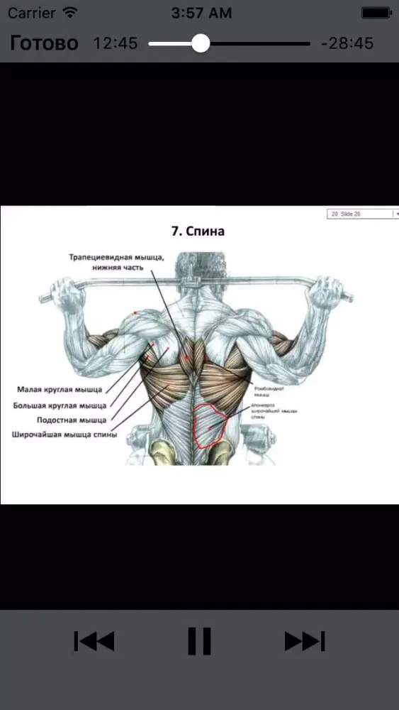 Ảnh chụp màn hình của Супер Тело