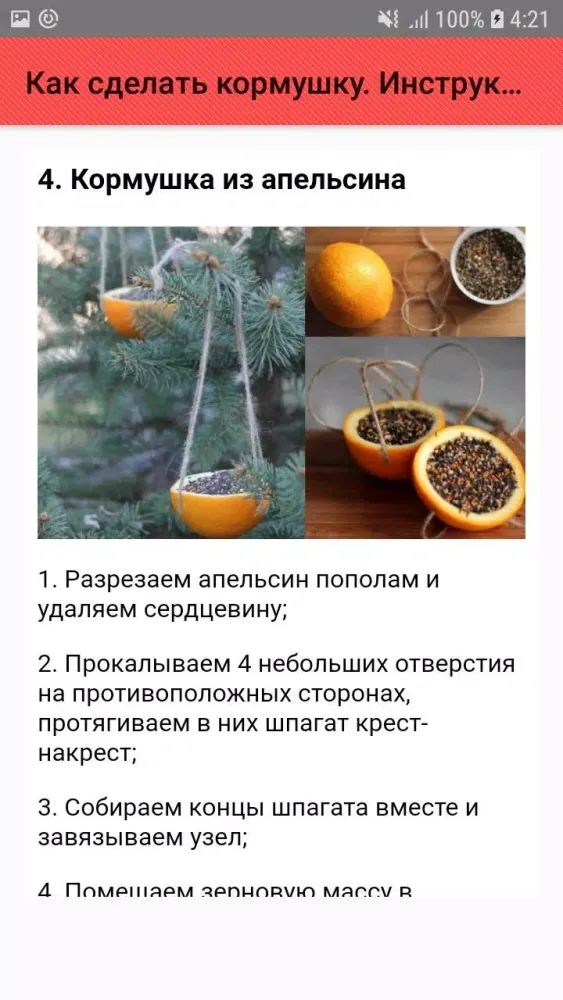 Как сделать кормушку. Инструкц স্ক্রিনশট