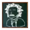 Einstein's riddle