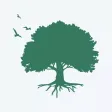 Nikolife. Правильные рецепты