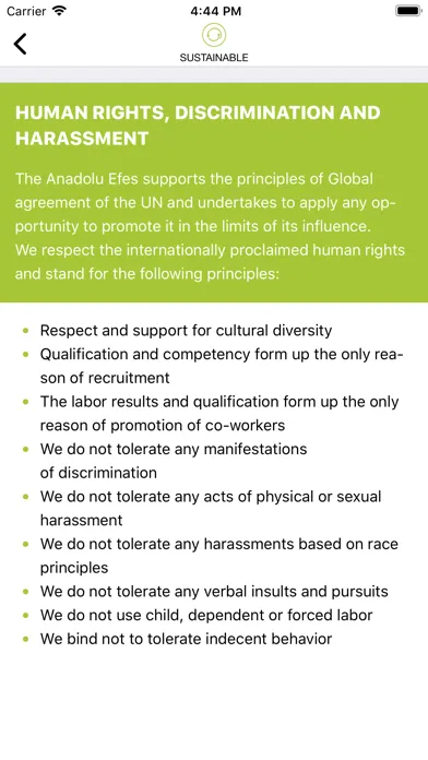 صور Efes rus code of conduct
