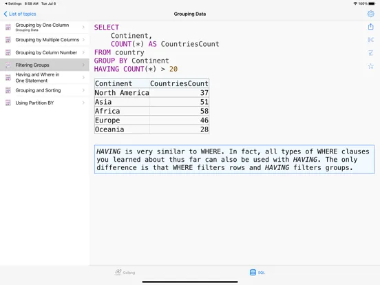 Golang Recipes Pro iPad 应用截图