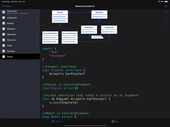 Golang Recipes Pro iPad 应用截图