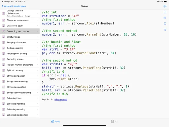 Golang Recipes Pro iPad 应用截图