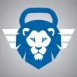 SMART IRON Gym Workout Program SMART IRON Gym Workout Program