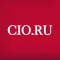 Директор информационной службы
