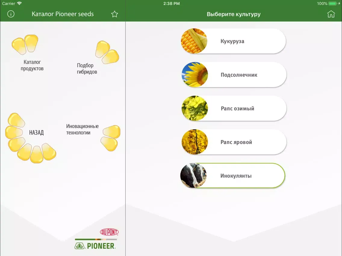 صور Каталог Pioneer seeds iPad 