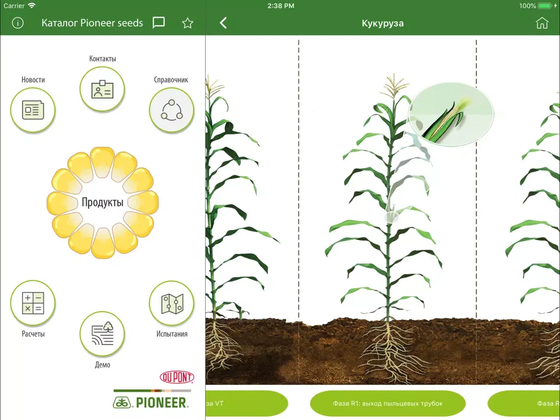 صور Каталог Pioneer seeds iPad 