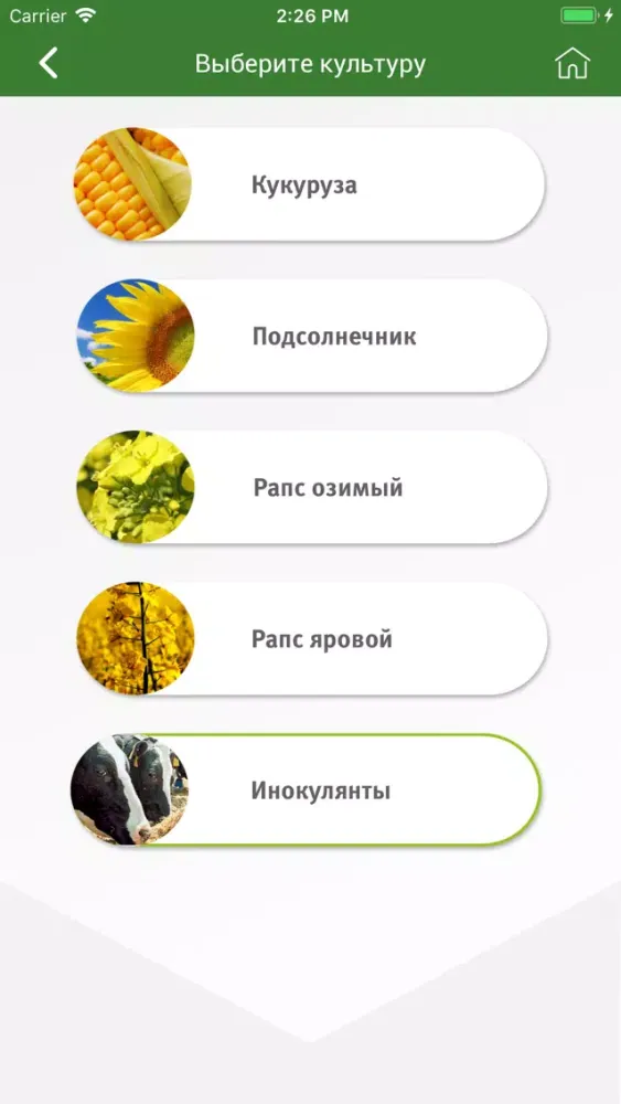 صور Каталог Pioneer seeds