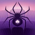Spider Solitaire World