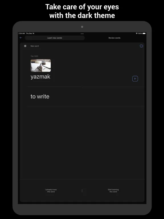 Learn Turkish with Flash cards iPad 应用截图