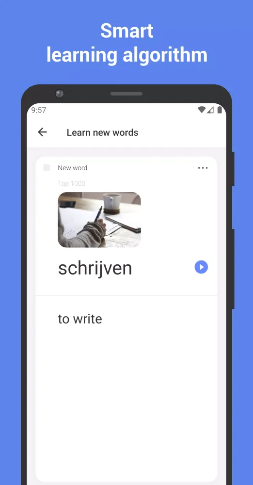 تصاویر Learn Dutch with Flashcards!
