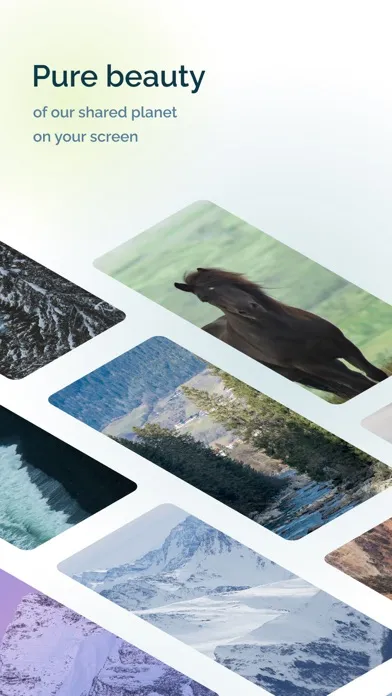 Look Around – Wallpapers Screenshots