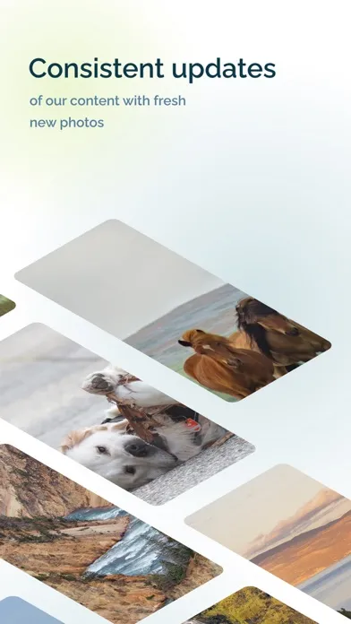 Look Around – Wallpapers Screenshots