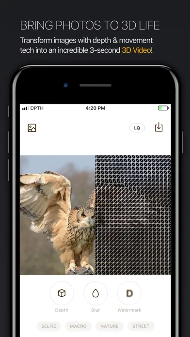 Tangkapan skrin DPTH PRO: AI 3d-photo editor