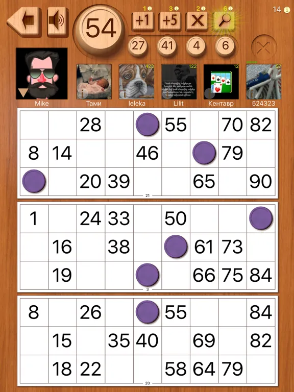 Loto online HD iPad 应用截图
