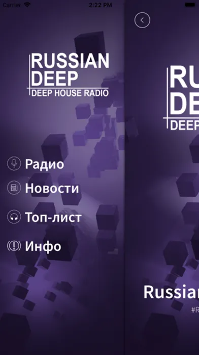 Russian Deep Radio スクリーンショット