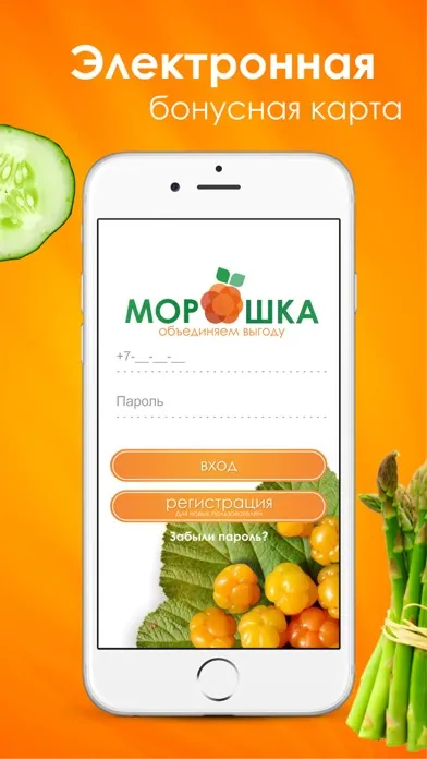 Морошка Усинск スクリーンショット