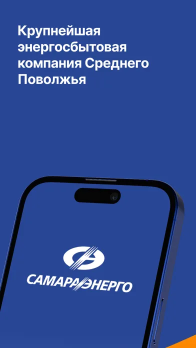 Tangkapan skrin ЛК ПАО "Самараэнерго"